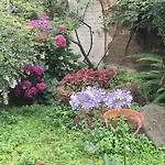 לינה וארוחת בוקר La Corte