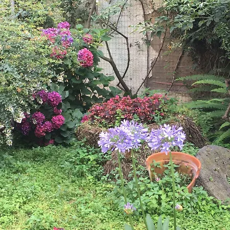 Frühstückspension La Corte