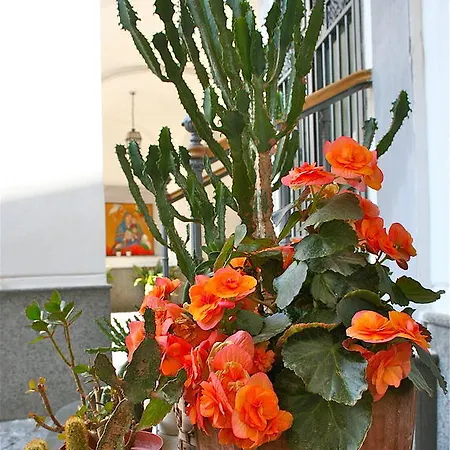 Frühstückspension La Corte