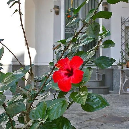 La Corte SantʼAntimo